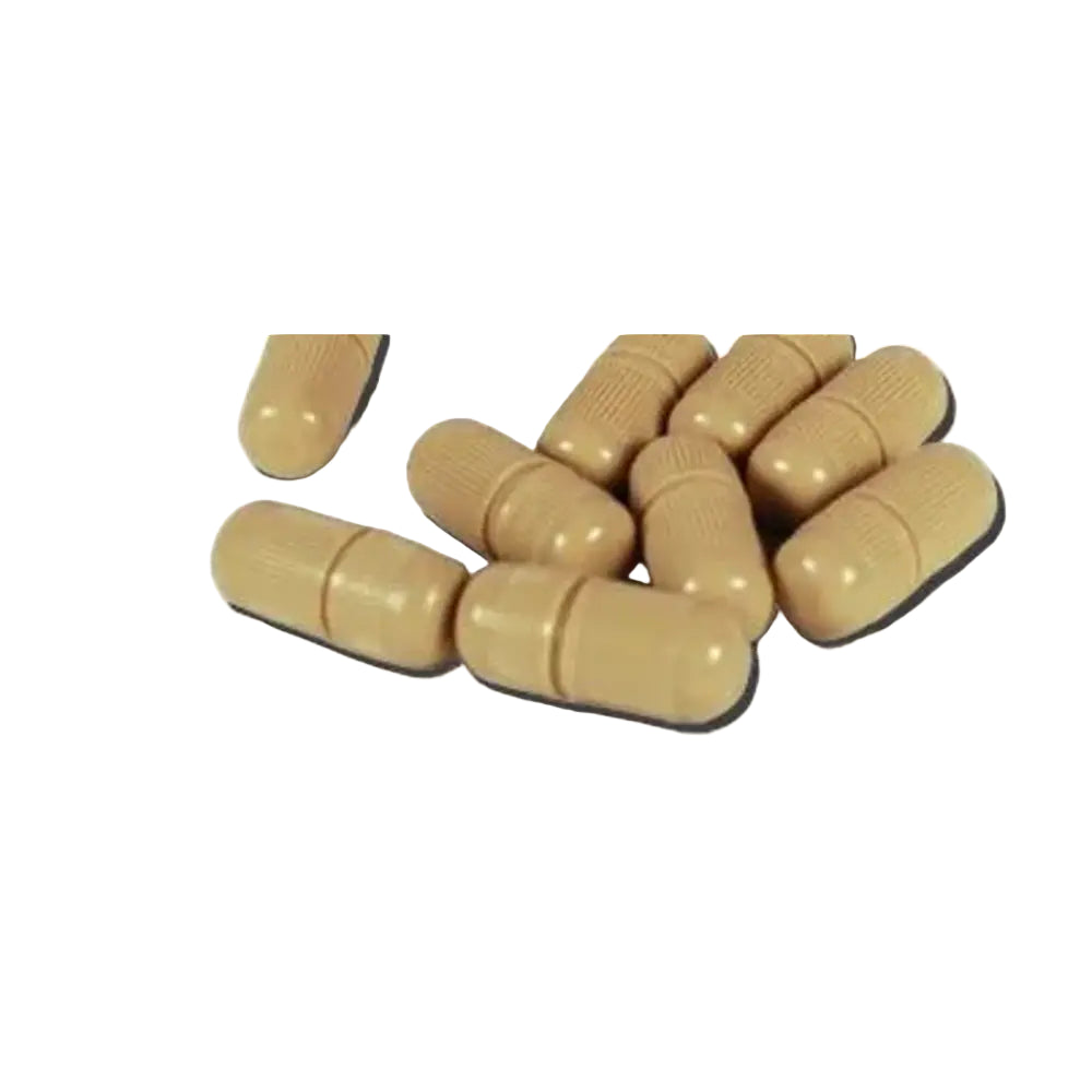 Silver High Copper Amalgam NU Alloy / 500 Caps.